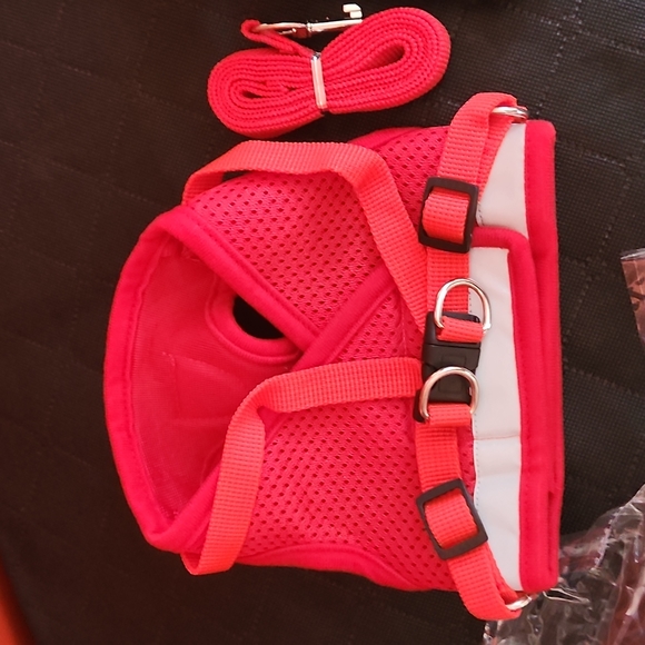 Pet harness with leash Red or Black All Sizes with Reflectors New - Picture 7 of 10